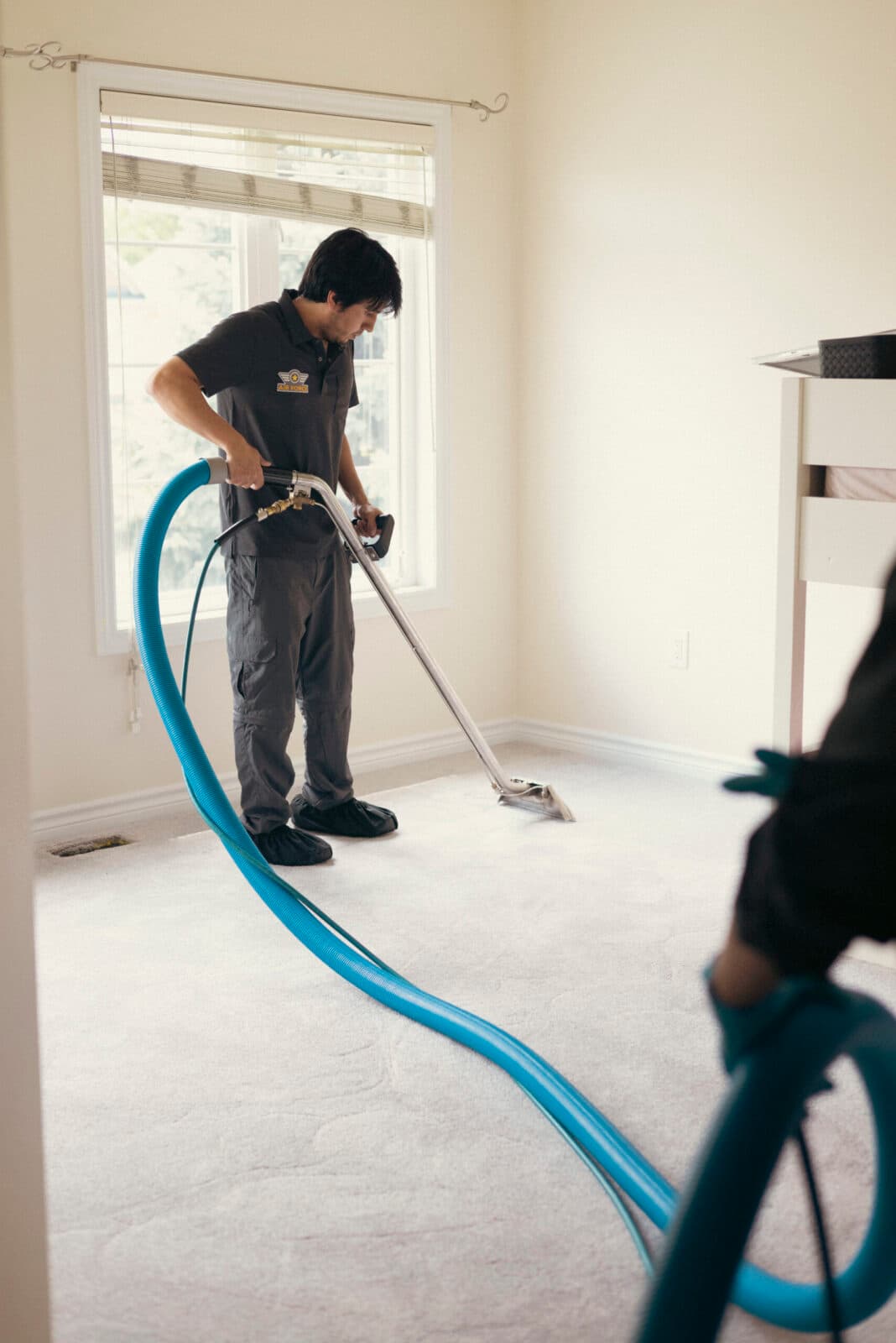 Technician steam cleaning a living room carpet