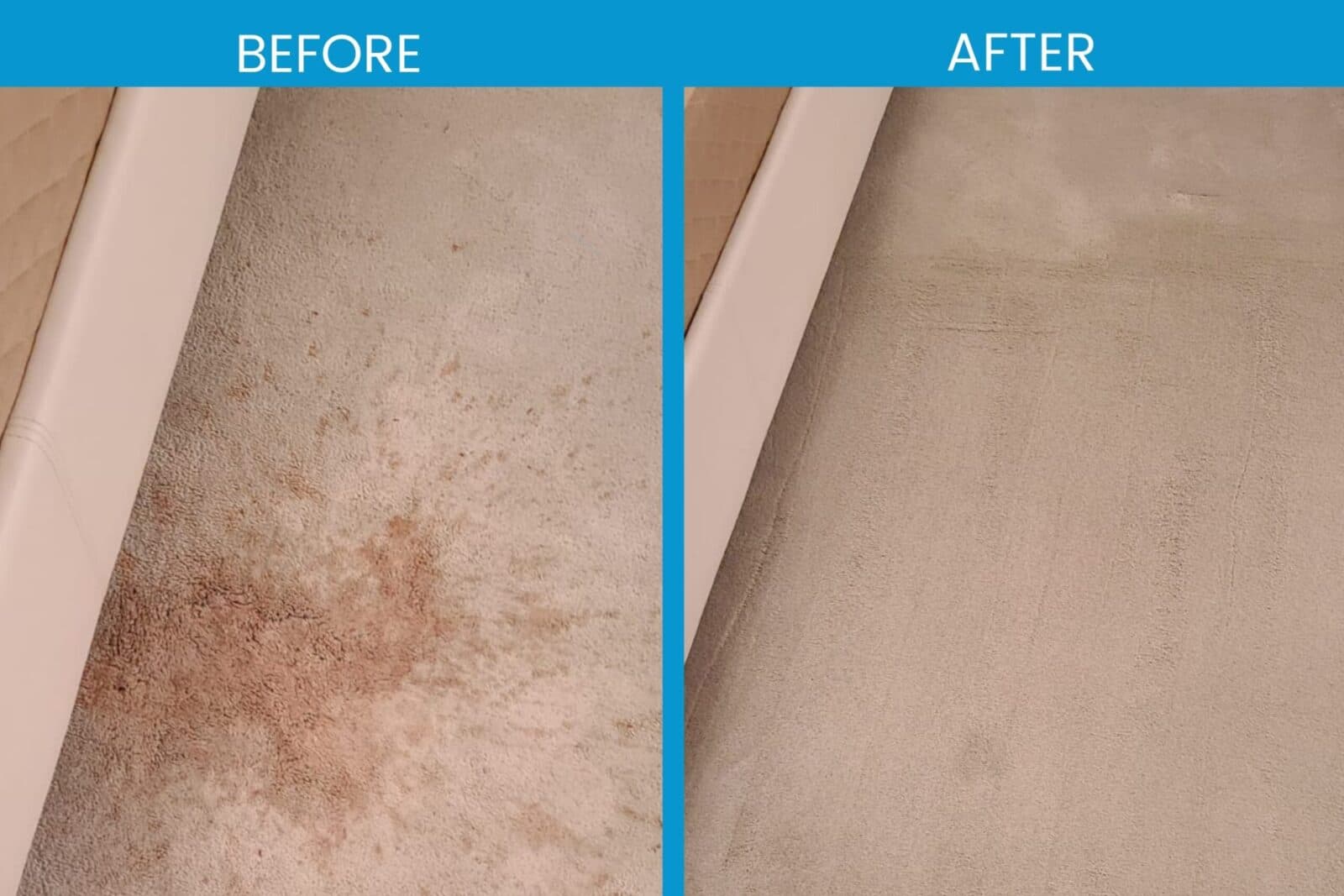 Stained carpet edge before and after cleaning