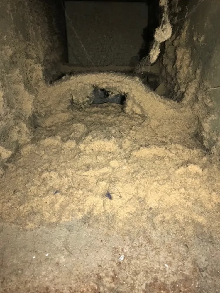 Inside an air duct packed with a thick layer of dust, lint and hair before cleaning